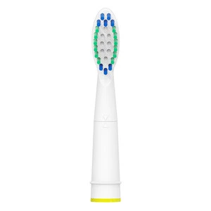 New design replacement toothbrush head