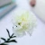 Import New Mothers Teachers Day Spot Wholesale Single Simulation Flower Carnation from China
