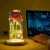 New Products Red rose gifts Red Roses Flower with Led Lights in Glass Dome