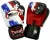 Import New Professional Twins Special Muay Thai  MMA Boxing Leather Boxing Gloves from Pakistan