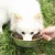 Import New style 5.7in high quality fancy pet bowls from China