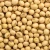 Import Non GMO Dried High Protein Soybean Seed from South Africa