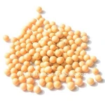 Non GMO Organic Soybeans