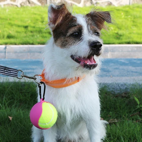 novelties 2024 Hands-Free Silicone Pet Ball Cover Holder with Dog Leash Attachment Fit for Standard Tennis Balls Pet Supplies