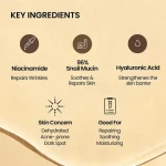 OEM Factory Customized Private Label Face Skin Care Advanced Snail Mucin Skin Care Set