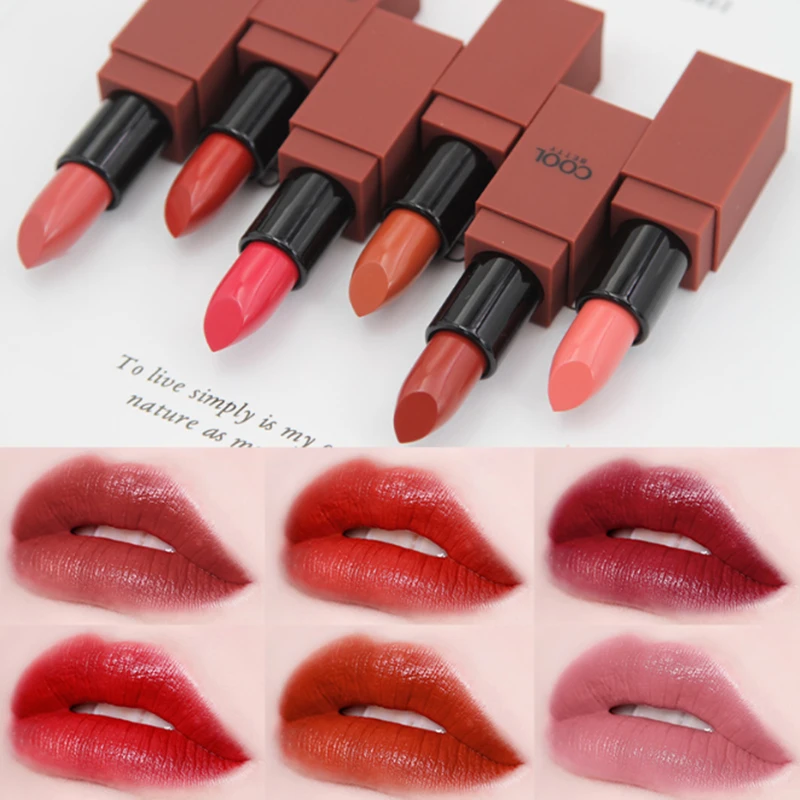 OEM Long-lasting Pastel Plumper Velvet Lipstick