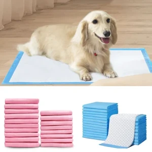 OEM service Customized Free Sample  heavy duty  Thickness Increase  Bamboo Charcoal  indoor outdoor pee pad for dog