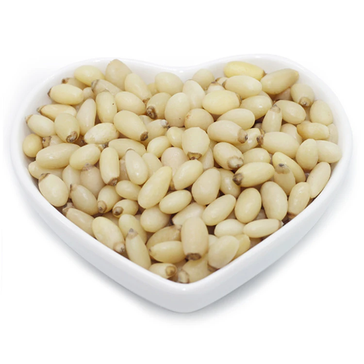 Organic Brazil Pine Nuts Kernel Pine Nuts Prices
