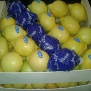 Organic Fresh Citrus Fruit/ Fresh Lemon