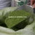 Import organic moringa leaf powder extract/moringa seed extract/moringa seeds buyers from China
