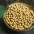 Import Organic soybeans for soybean buyers from China
