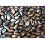 Organic watermelon seeds/ Black watermelon seeds/ brown melon seeds for SALE