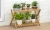 Import Outdoor Simple Design Wood Bamboo Adjustable Flower Plant Stand from China