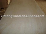 paulownia blockboard products