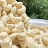 Perfect quality WW180 grade premium cashew kernel