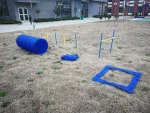 Pet Agility Training kit Equipment Dog Play Run Jump Game Obedience Set