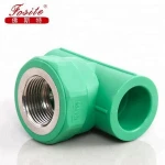 Plastic Building Materials Germany Standard PPR Pipe and Fittings for Water Supply