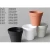 Import Plastic Flower Seedlings Nursery Pot/pots from China