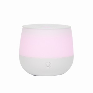 Portable New Model Mini Essential Oil Aroma Diffuser Aromatic Air Cleaner for Essential Oil