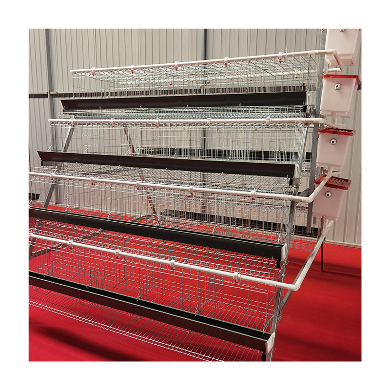 Buy Poultry Control Shed Automatic Chicken Layer Battery Cage For Egg ...