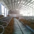 Import Prefabricated structural steel for chicken house from China