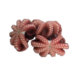 premium grade IQF frozen octopus