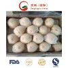 Premium Ya Pear Harvested in China Available in Different Sizes