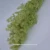 Import Preserved flower Asparagus Myrioeladus as DIY decorative flowers from China
