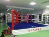 Professional Competition boxing ring