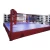 Import Professional Hot Sale professional boxing floor ring for wholesales from China