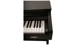 Professional musical instrument 88 key upright studio keyboards piano