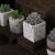 Import Promotional high quality small bonsai cactus succulents artificial plant potted with terrazzo pot from China