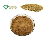 Pure raw herbal plant extract fennel seed extract to improve eyesight