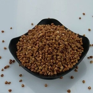 Quality Roasted Buckwheat