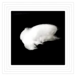 Quartz fiber wool