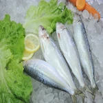 Qulaity Frozen Sardine Fish 80-100 Frozen Seafood Exporters