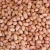 Import Raw Peanuts, pea nut, Roasted, Raw Ground nuts from Uganda