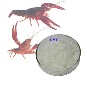 Reliable quality manufacturer supply DMT powder CAS:4727-41-7