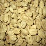 Robusta Coffee Beans - Best Quality and Price - FREE SAMPLES