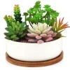 Round succulent ceramic planter pot with bamboo tray