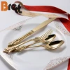 Royal 18/10 Stainless Steel Gold Plated Titanium Flatware Wholesale