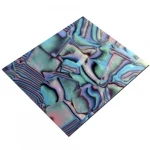sea shell plate, abalone shell plate, mother of pearl shell plate