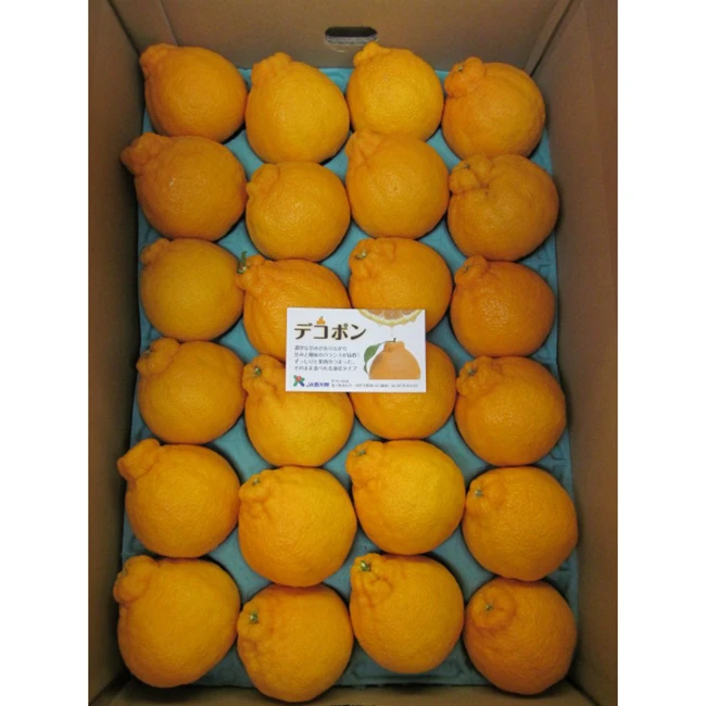 Seedless citrus high quality gift box packing buy fresh fruit