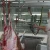 Import Sheep Abattoir Machine for Halal Goat Slaughtering Equipment with Butcher Viscera Hook from China