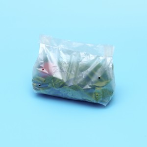 Shopping Package Bag Compostable PLA Pbat Made Bag
