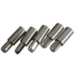 SKD11 Non-standerd CNC Stamping Die Irregular Punch WEDM-LS Parts Precision Grinding Machine Forming