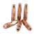 Import spot welding tips welding consumables fronius CuCrZr contact tip from China