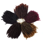 Spring Curl Crochet Nubian Twist Braids Synthetic Hair Extensions For Women High Temperature Kinky Curly Hair Bundles