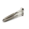Stainless steel torx head self tapping set screw