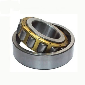 Steel or ceramic rollers super precision cylindrical roller bearings N1960-K-M1-SP